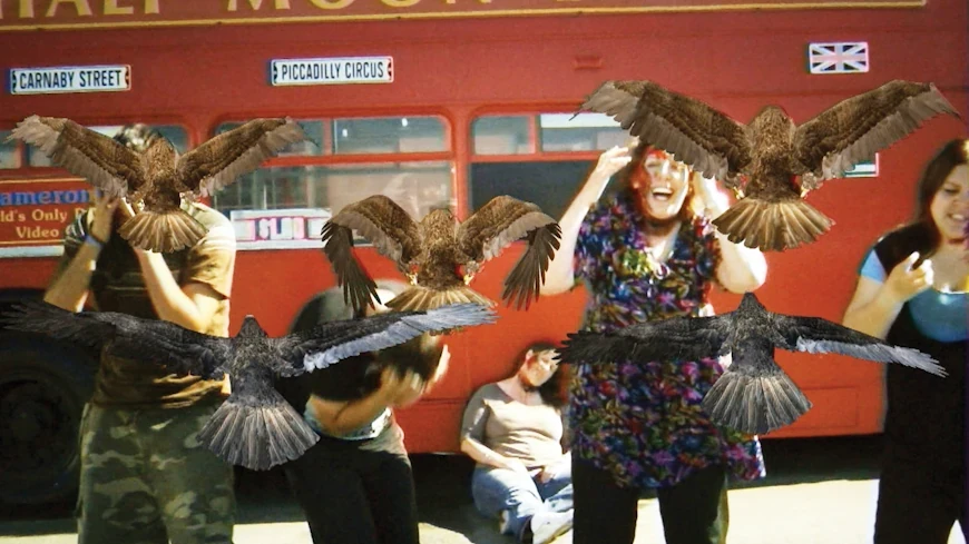 21. Птицекалипсис: Шок и трепет / Birdemic: Shock and Terror (2010)