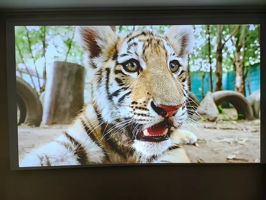 Компактный DLP-проектор с разрешением Full HD Cactus CS-H3.SG