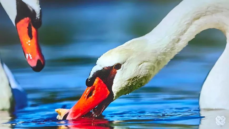 Компактный DLP-проектор с разрешением Full HD Cactus CS-H3.SG