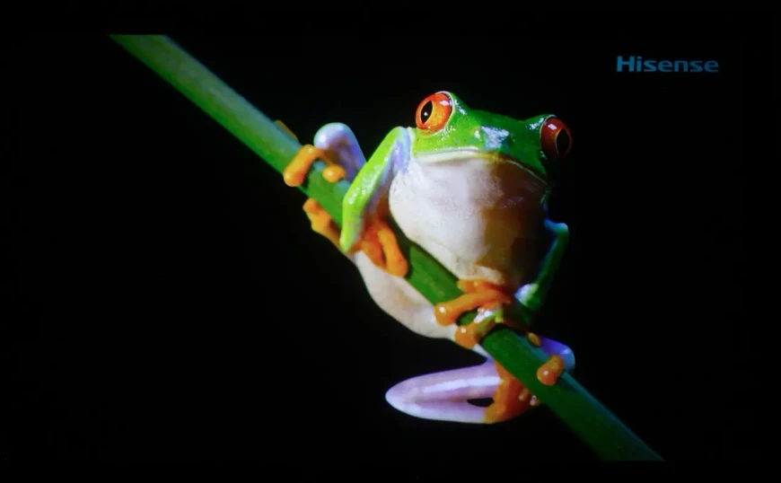 Лазерный 4K DLP-видеопроектор Hisense Laser Mini Projector C1