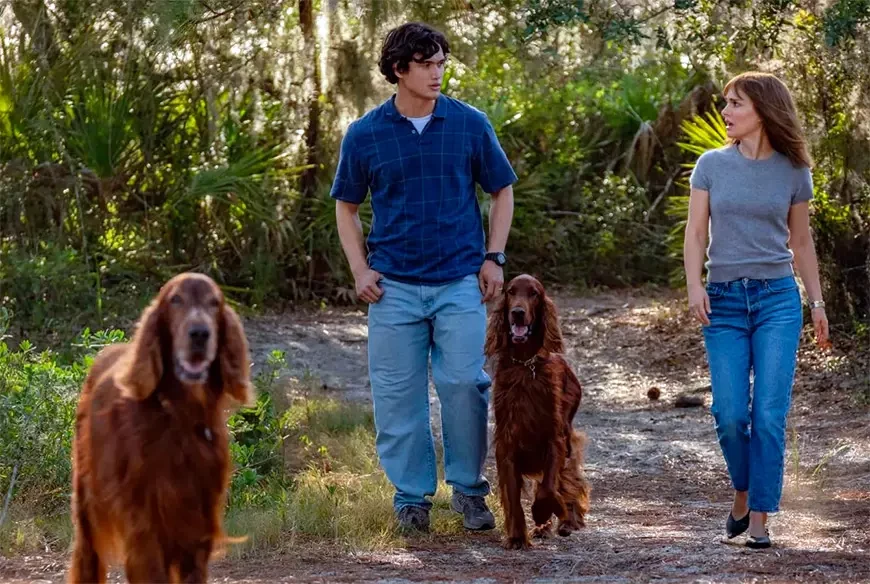 Май декабрь / May December (2023)