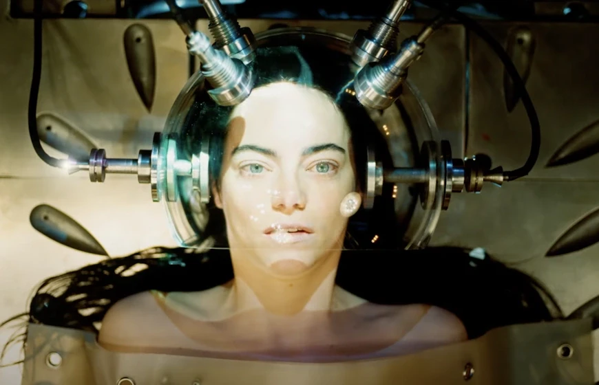 6. Бедные-несчастные / Poor Things (2023)