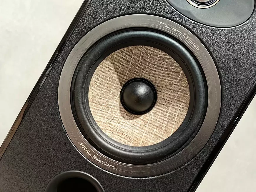 Полочные акустические системы Focal Aria Evo X №1