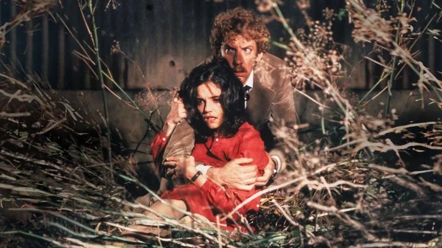 16.	Вторжение похитителей тел / Invasion of the Body Snatchers (1978)