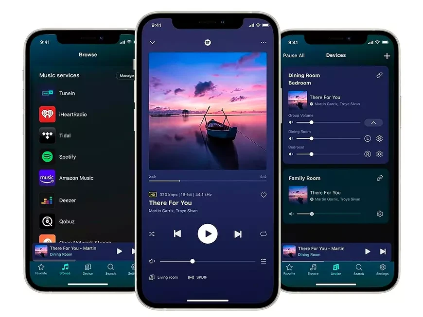   Сетевой проигрыватель / предусилитель WiiM Ultra