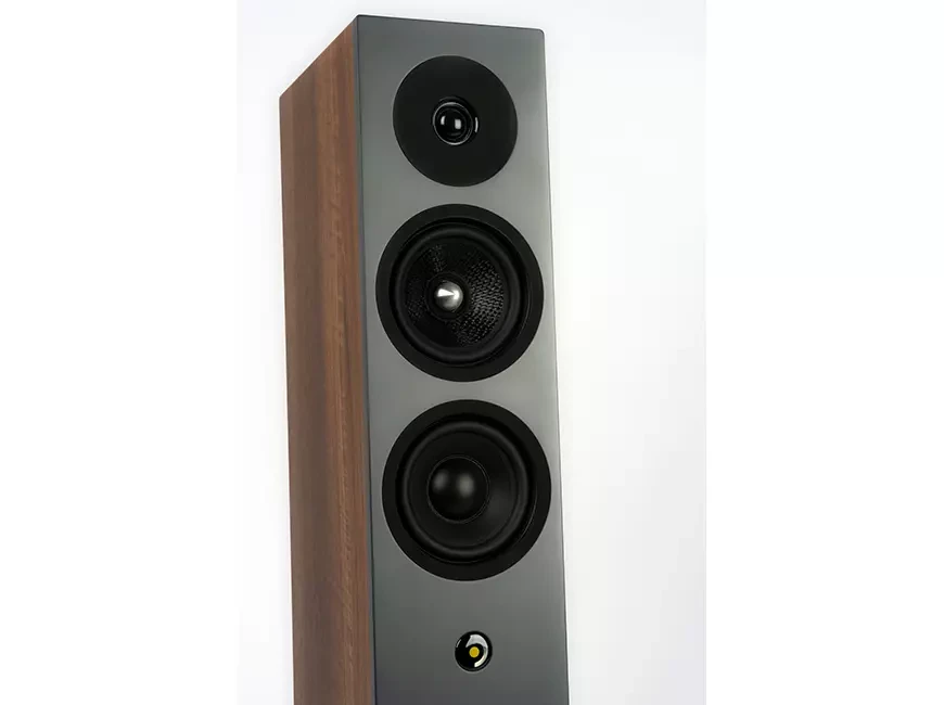 Акустические системы&nbsp;Davis Acoustics Krypton №6