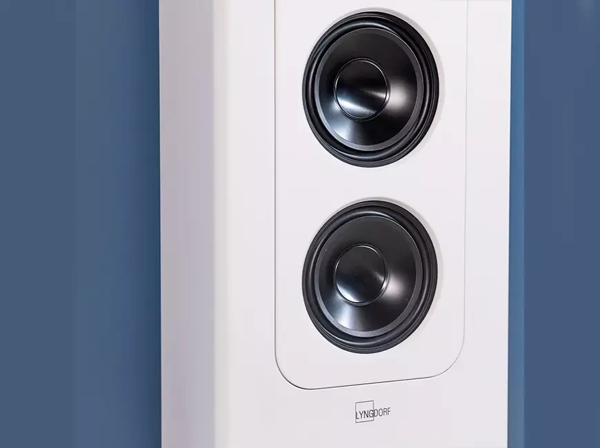 Акустические системы Lyngdof FR-2