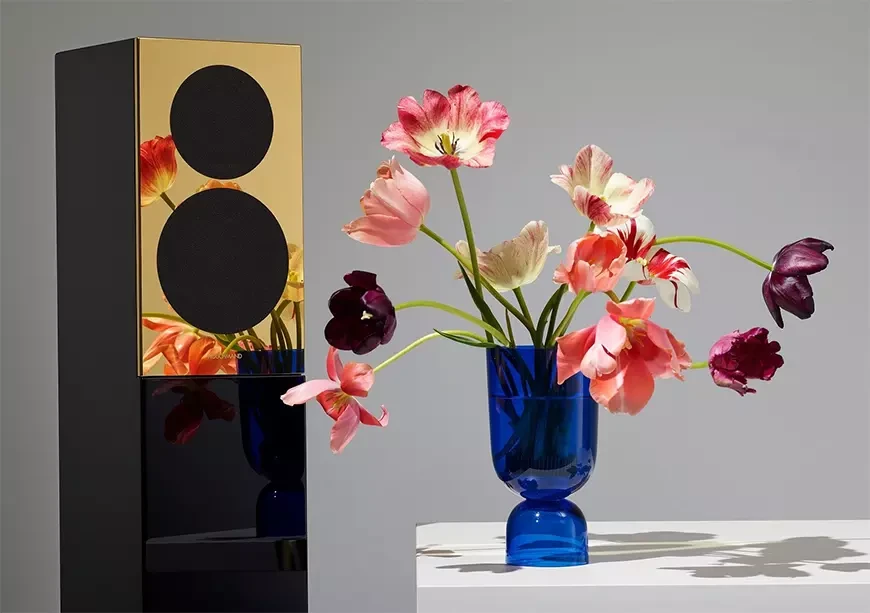 Аудиосистема Houchmand M1