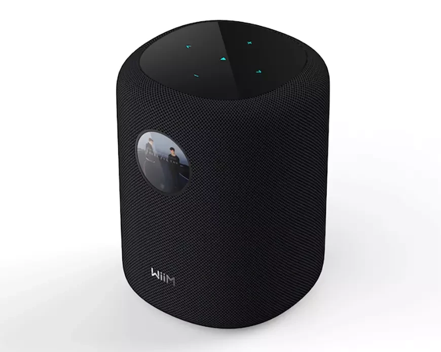 Беспроводная смарт-колонка WiiM Sound