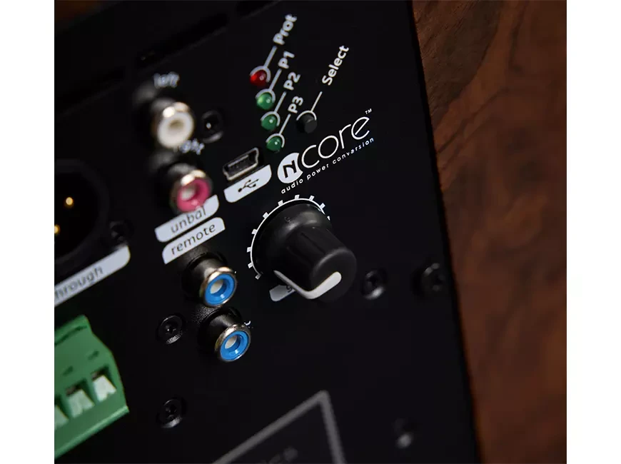 Активные сабвуферы Raidho TD8 SUB и TD10 SUB