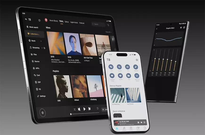 Сетевой транспорт Eversolo T8