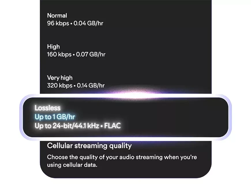 Spotify начинает вещание в Lossless