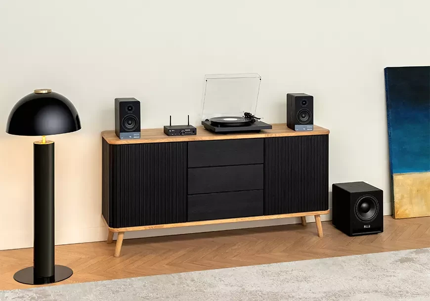 Акустические системы Radiotehnika серии S-10