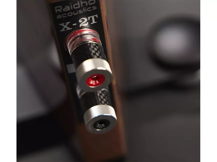 Юбилейная версия акустических систем Raidho X2t 25th Anniversary Edition