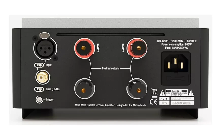 Монофонический усилитель мощности Mola Mola Ossetra
