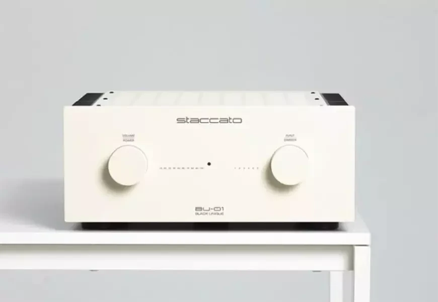 Интегральный усилитель Staccato Audio BU-01