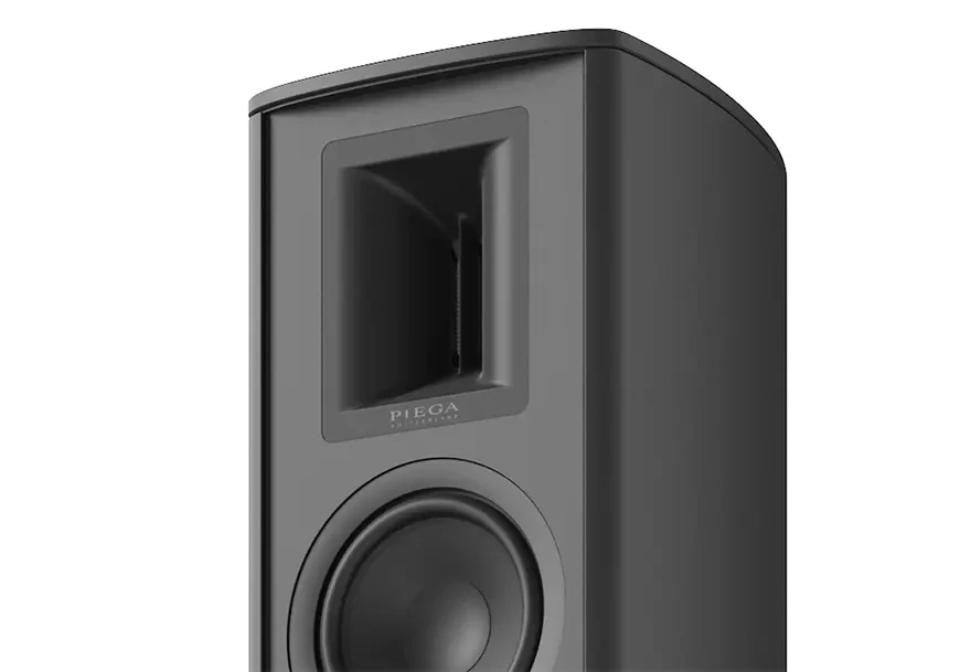 Акустические системы Piega Premium 801