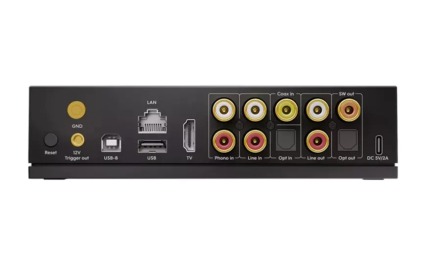 Стример Arylic LP100