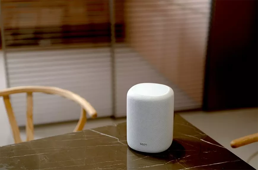 Беспроводная портативная колонка WiiM Sound Lite