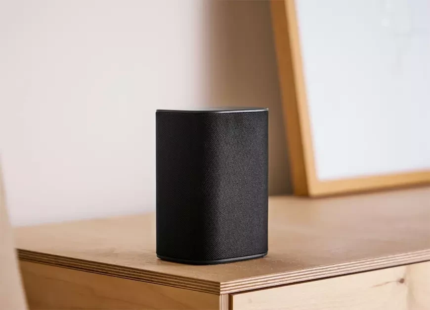 Беспроводные акустические системы Canton Smart Libero