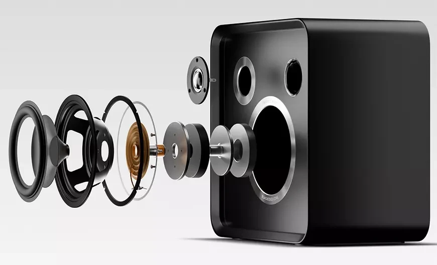 Акустические системы&nbsp;Eversolo SE100