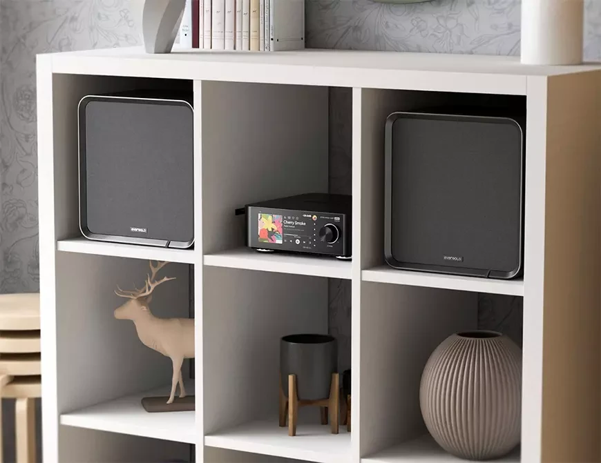 Акустические системы Eversolo SE100