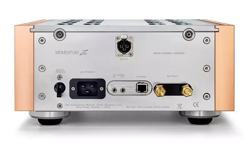 Mоноблочный усилитель мощности&nbsp;Dan D'Agostino Momentum Z