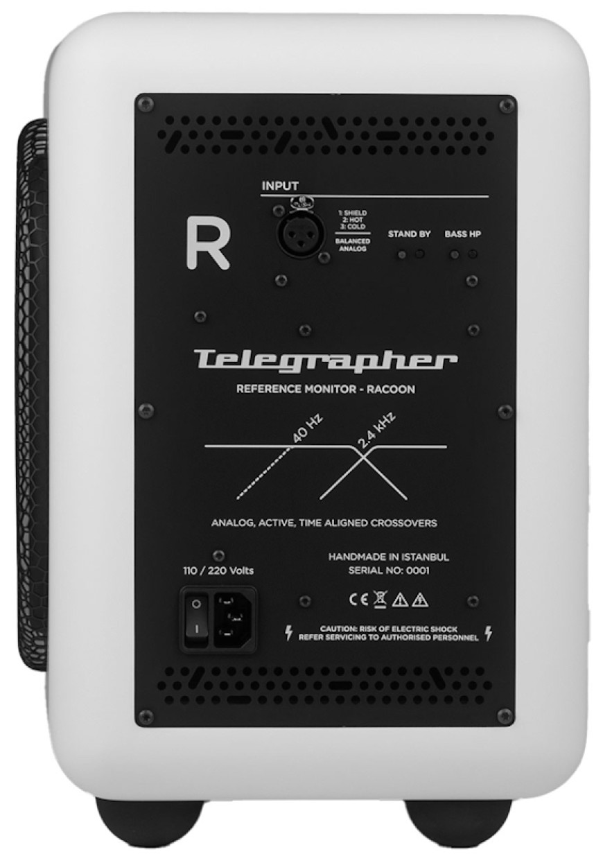 Telegrapher Raccoon