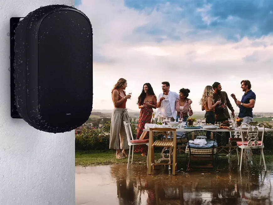 Aкустические системы Tannoy DVS 601 PoE