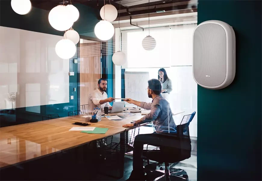 Aкустические системы Tannoy DVS 601 PoE