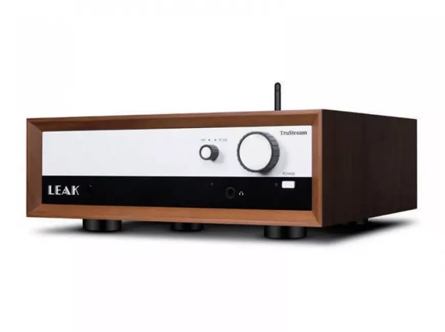 Музыкальный стример Leak TruStream