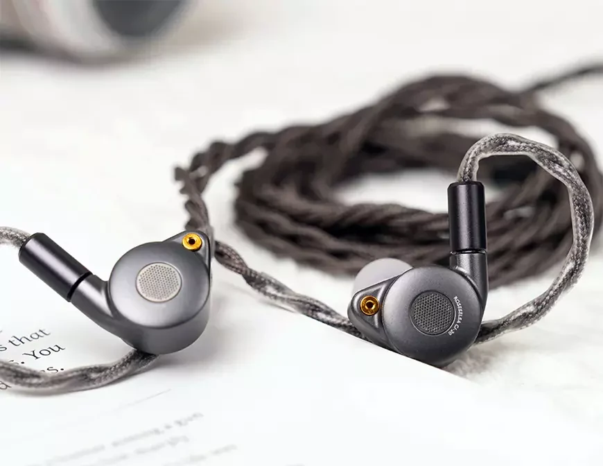 Планарные внутриканальные наушники ROSESELSA CJ20