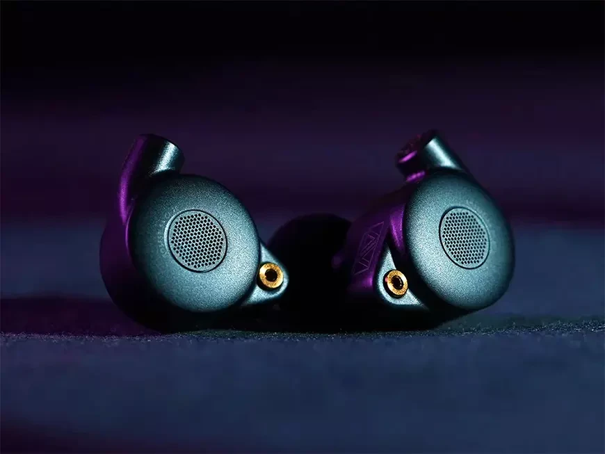 Планарные внутриканальные наушники ROSESELSA CJ20