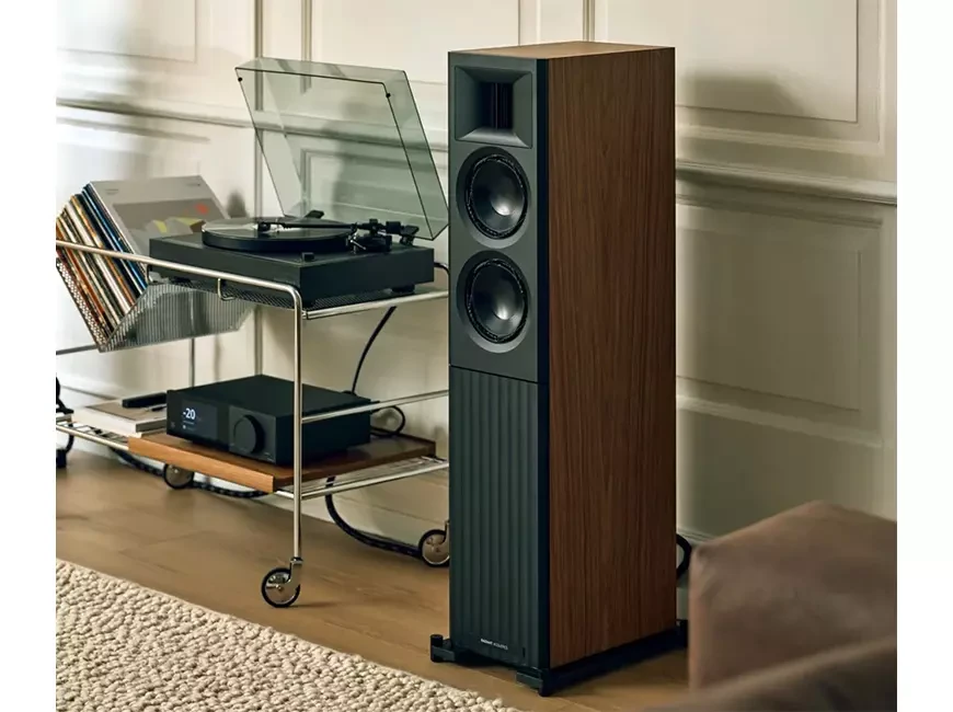 Акустические системы Radiant Acoustics Clarity 66