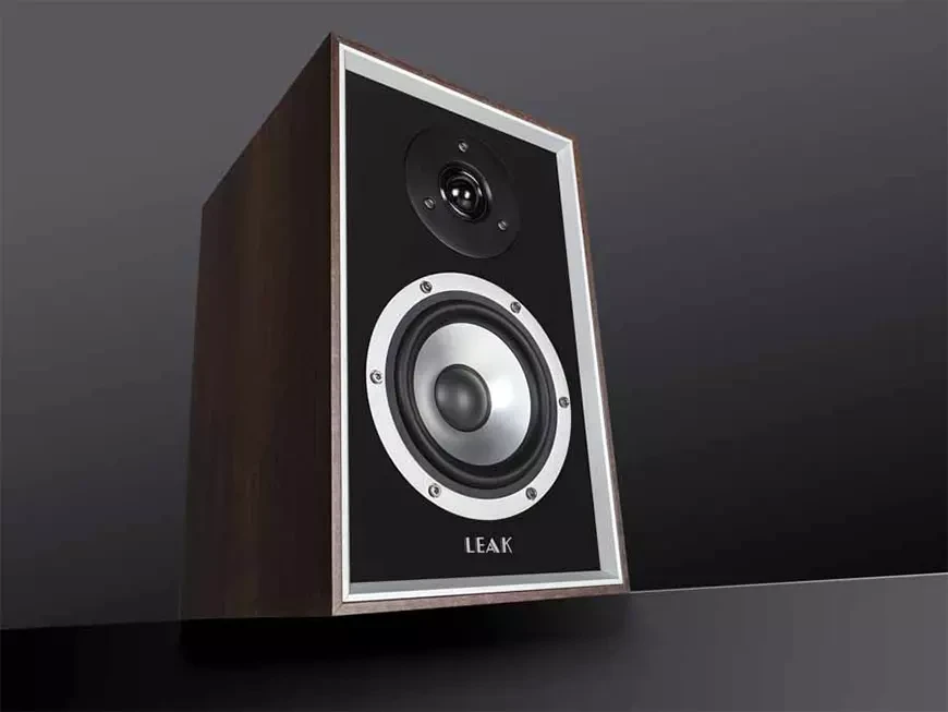 Акустические системы Leak Sandwich 100