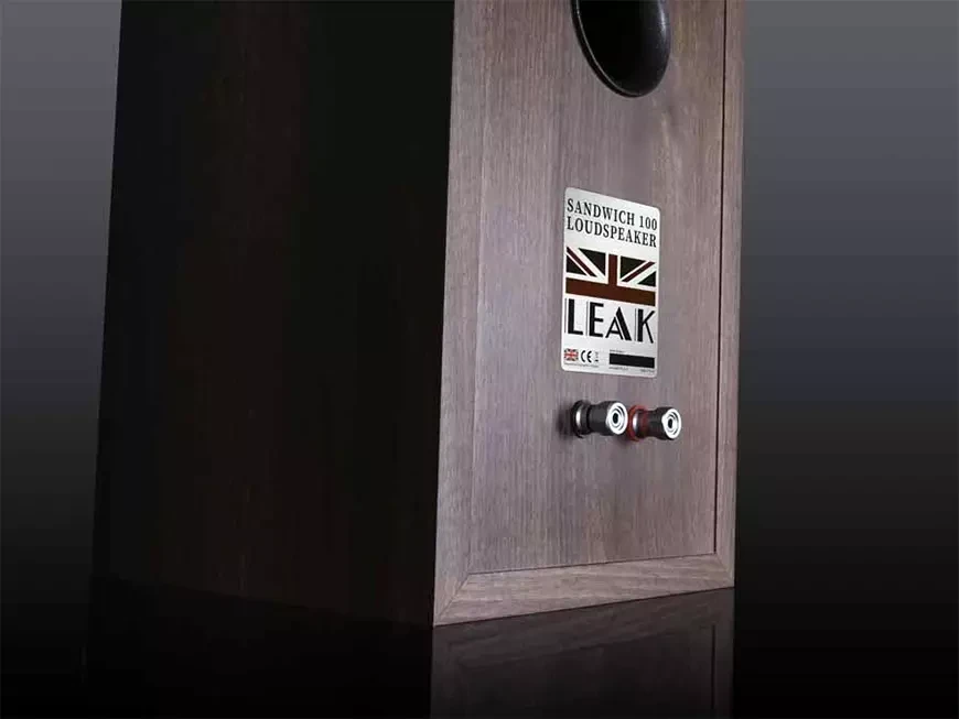 Акустические системы&nbsp;Leak&nbsp;Sandwich 100