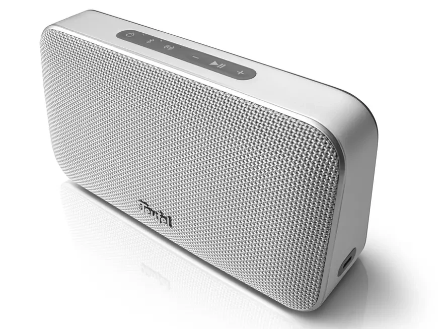 Портативная Bluetooth-колонка Teufel Motiv Go 2