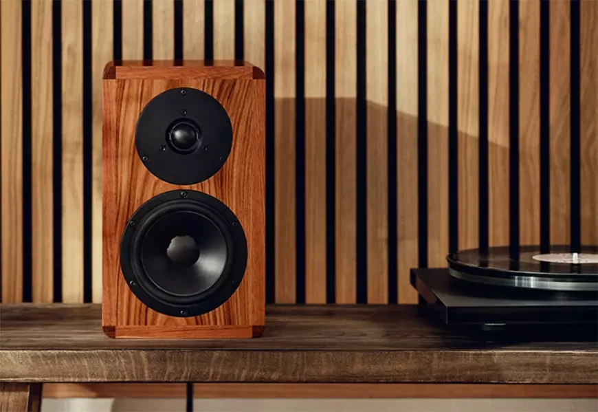 Полочные акустические системы Dynaudio Legend