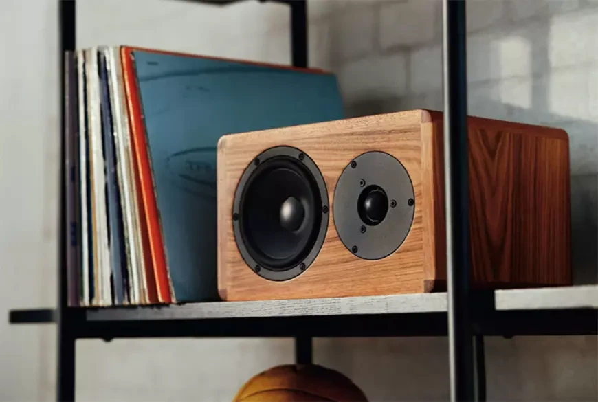 Полочные акустические системы Dynaudio Legend