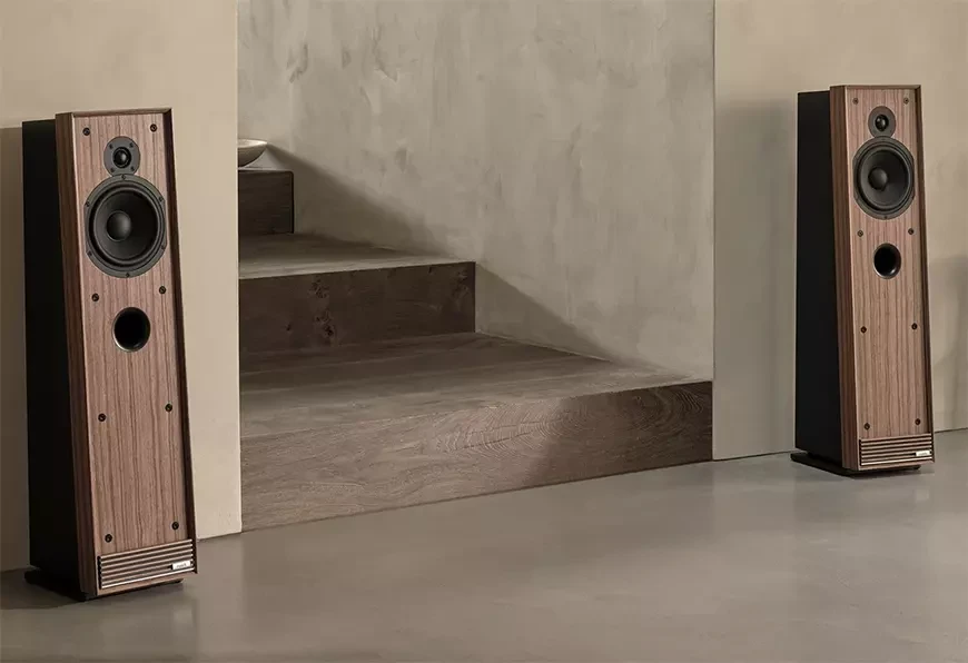 Напольные колонки Ruark Audio Talisman-R