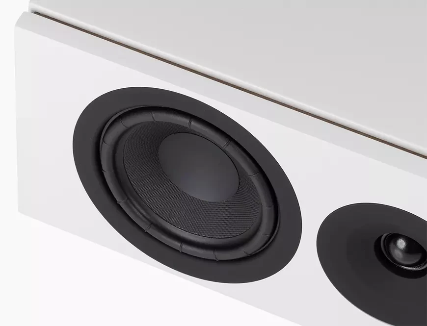 Акустическая система центрального канала System Audio Legend 10.2 Silverback DS