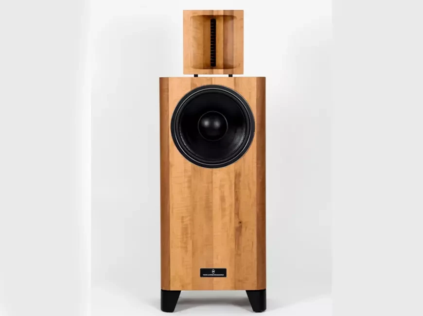 Акустическая система WLM 300 B