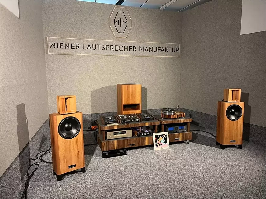 Акустическая система WLM 300 B