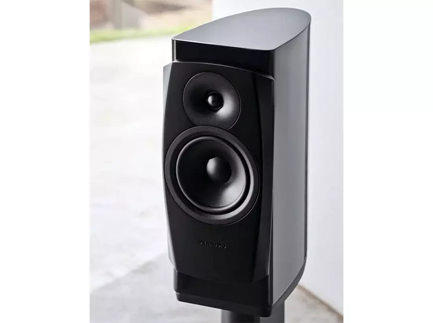 Акустические системы Dynaudio Confidence 20i