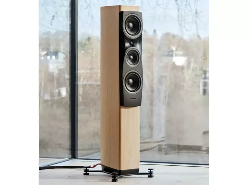 Акустические системы Dynaudio Confidence 30i