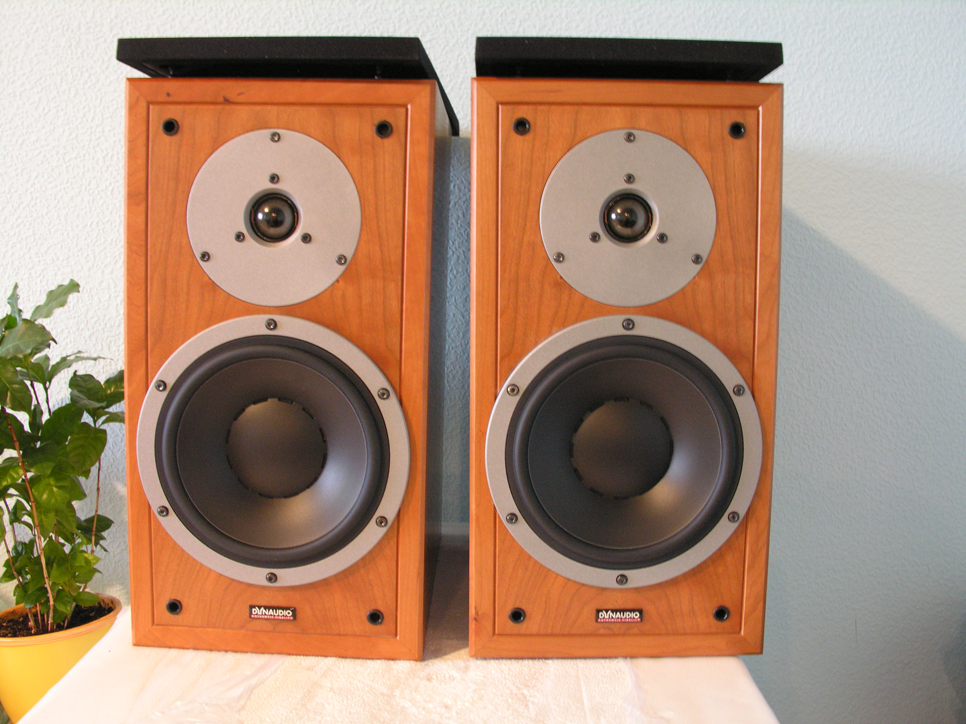 Dynaudio в авто