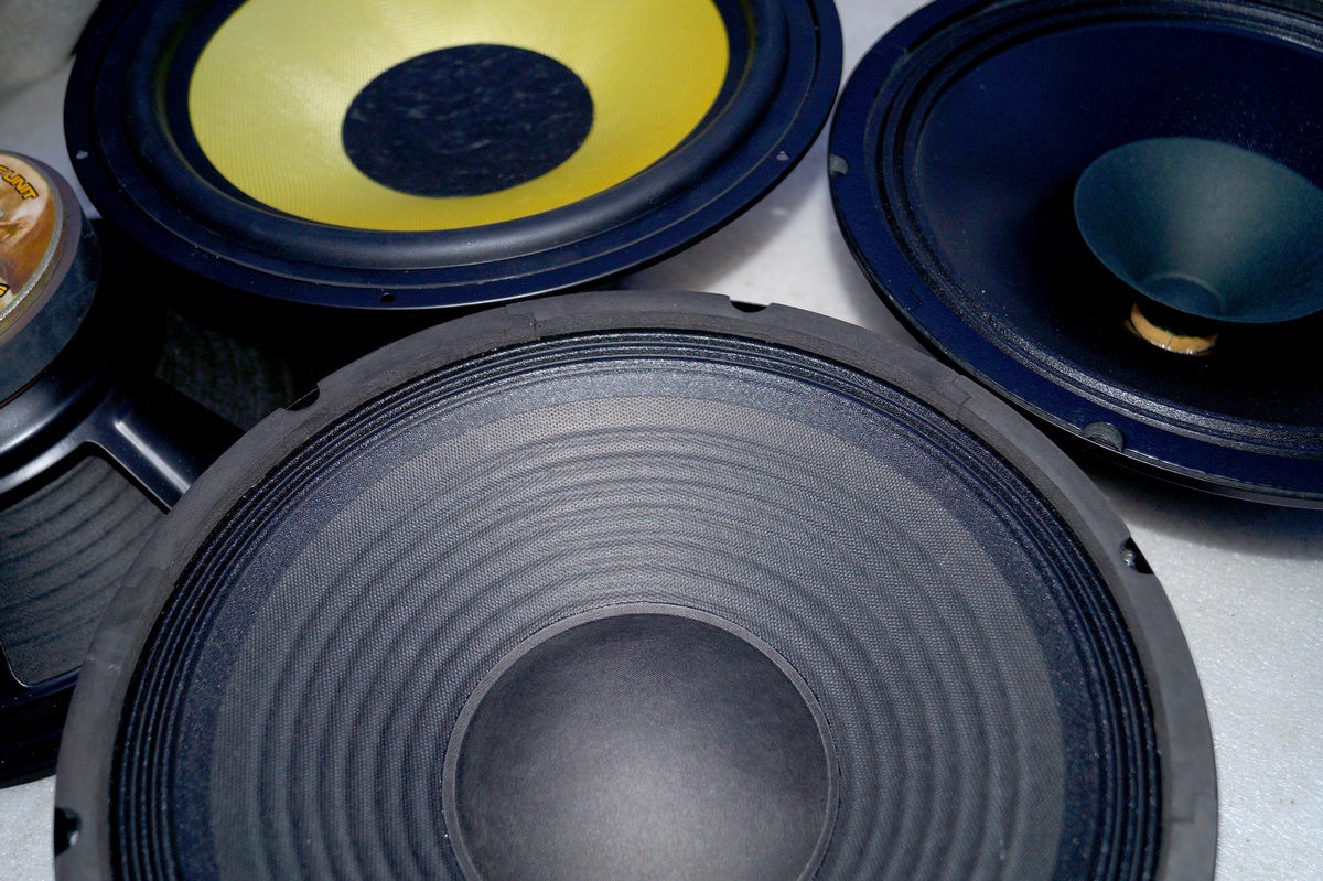 Woofer Alphard HW-1200 Динамик низкочастотник Подвес диффузора ткань ...