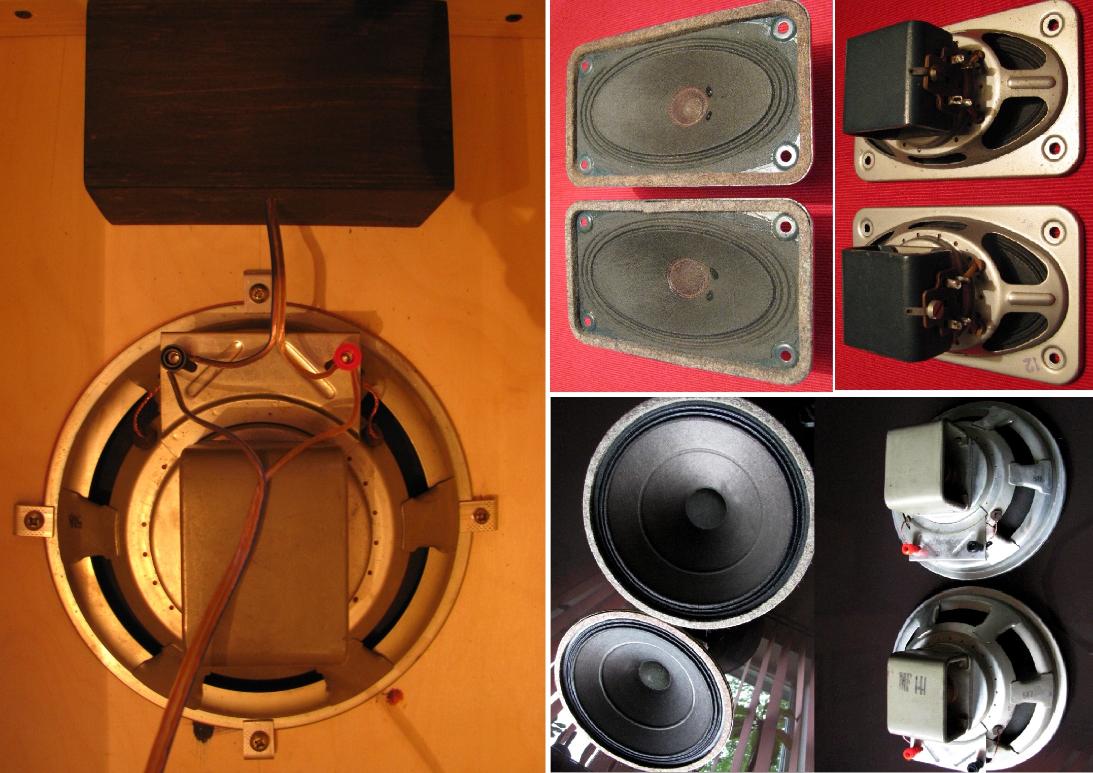 Jbl plus 2 со светомузыкой. Джибиэль 100 портативная колонка. Magnavox woofer 581216/1. Характер алисы по цвету колонки лайт. Колонка jbl с цветомузыкой.