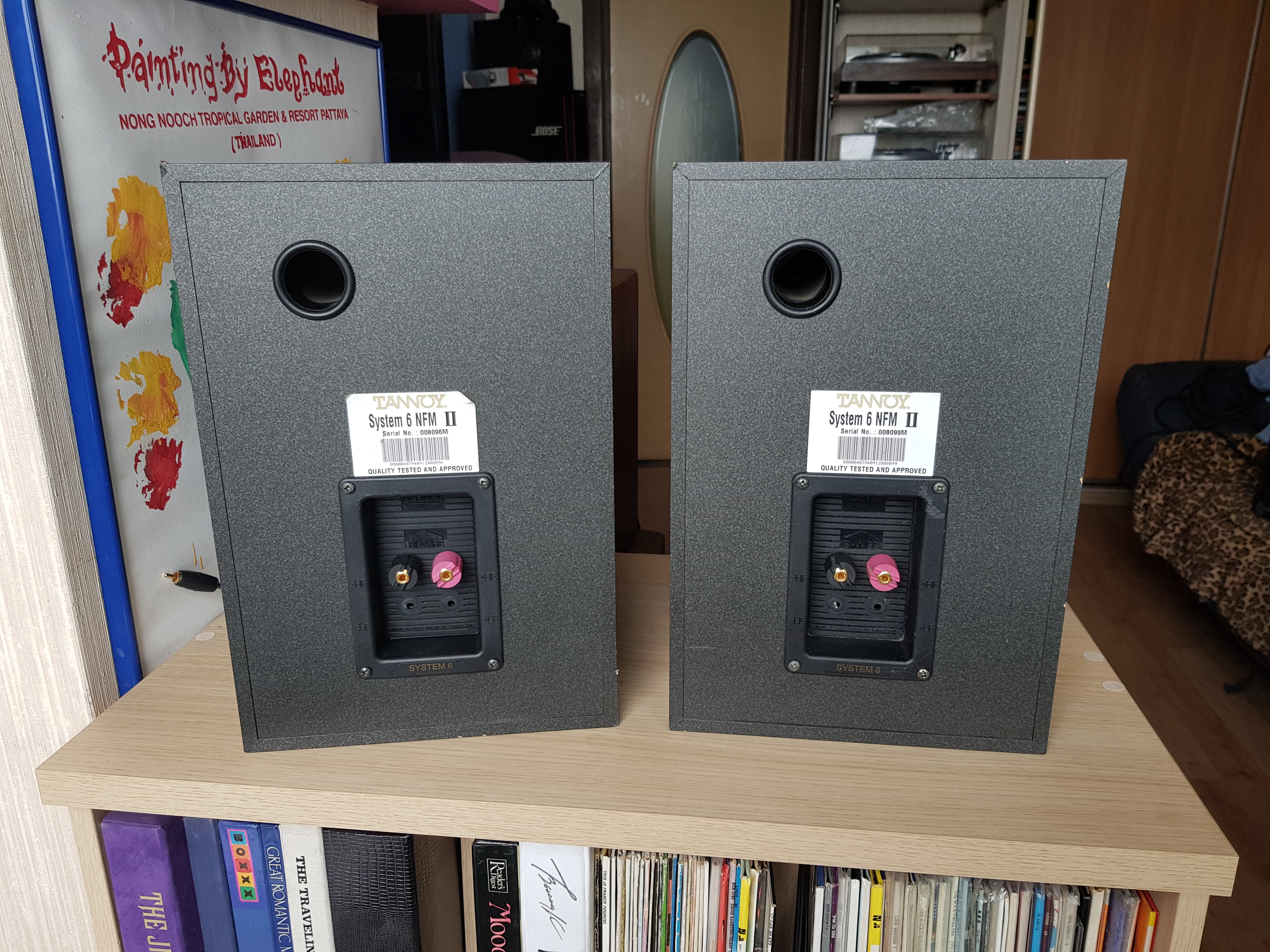 Акустика Tannoy System 6 NFM ll HiFi.ru