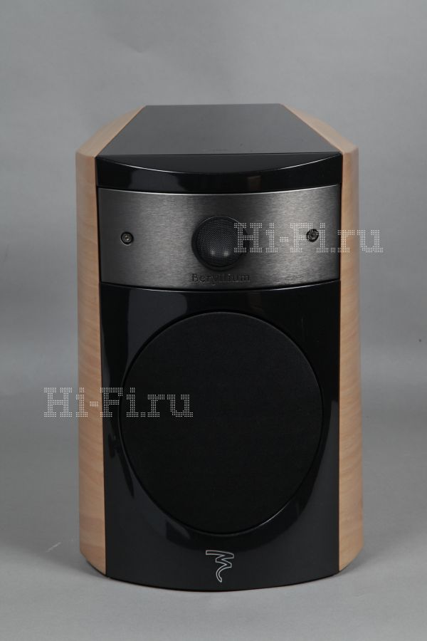 Focal Electra 1008 Be II _MG_1082.jpg